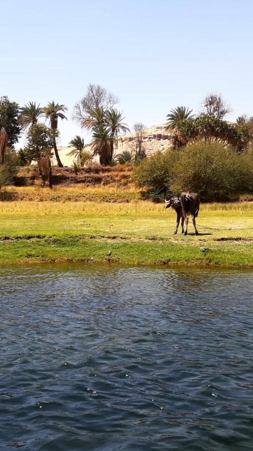 Habibi Nubian Guest House-Nubian Hospitality Асуан Екстериор снимка