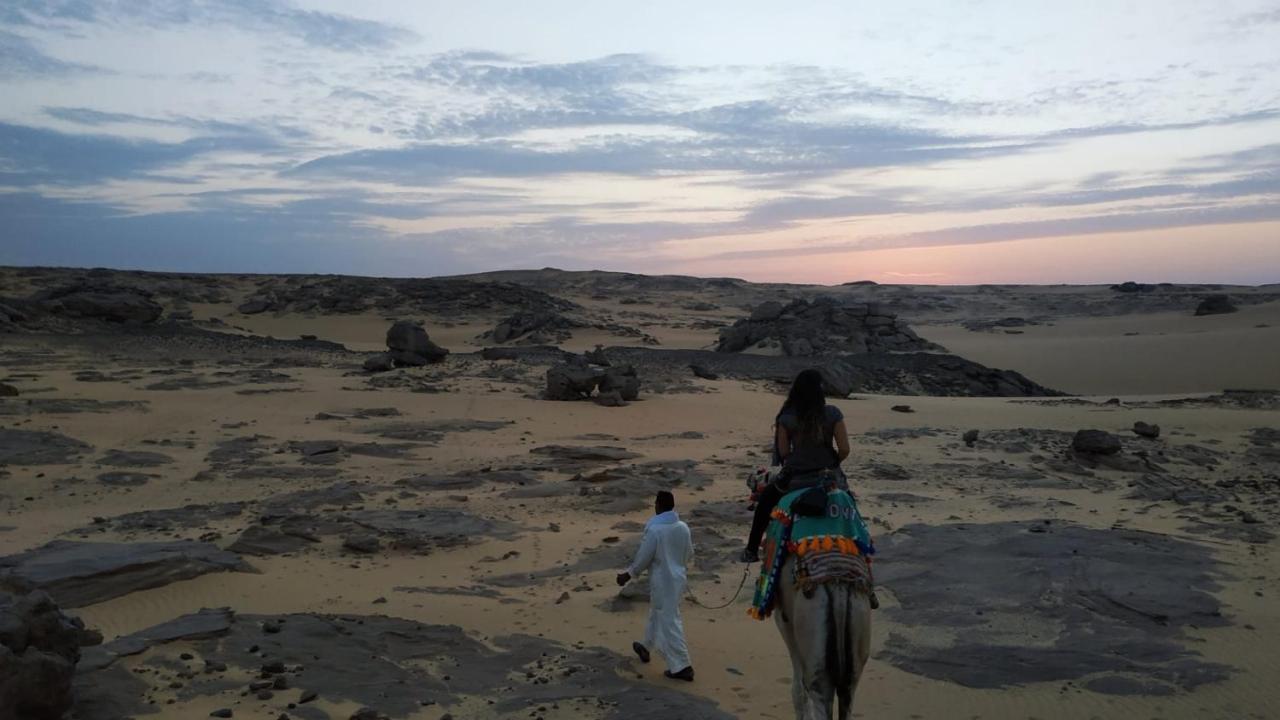 Habibi Nubian Guest House-Nubian Hospitality Асуан Екстериор снимка